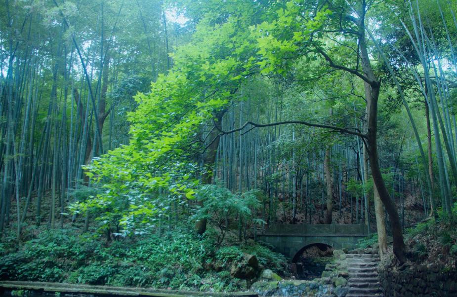 绿竹猗猗，有匪君子？为何古人喜爱用竹、松比喻人的高贵品格