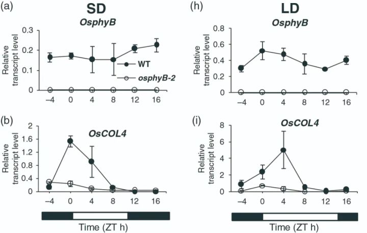 辨清敌我，统一战线——确定基因上下游关系