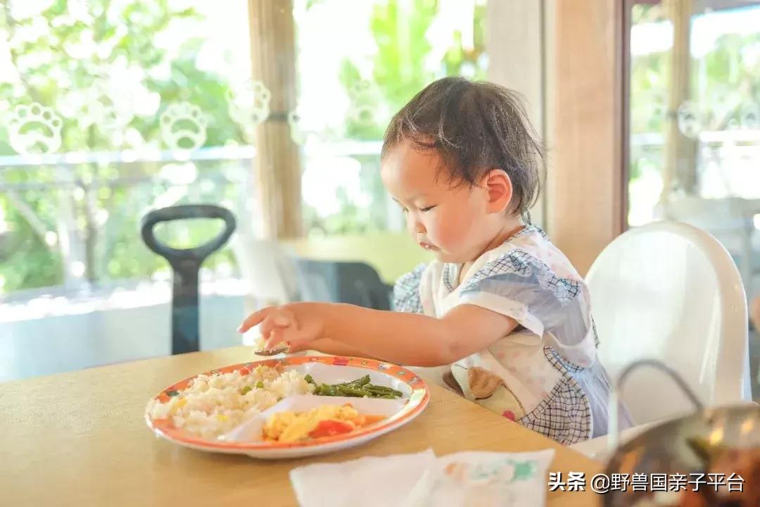 带孩子新加坡4天够玩吗,新加坡带孩子自由行几天