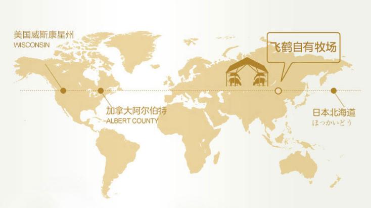 飞鹤飞帆是普通奶粉可以长期喝吗,飞鹤飞帆奶粉怎么样推荐购买吗