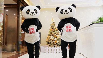 社群粉丝超300万，年复购3.7次，网红蛋糕熊猫不走的暴走之路