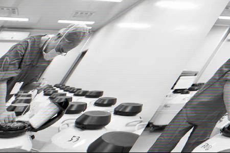 胚胎｜说说胚胎那些事