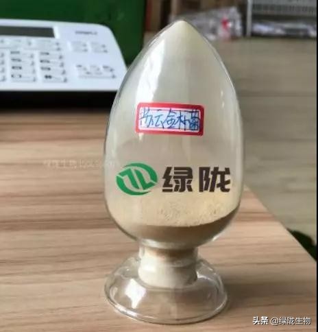 苏云金杆菌施药方法,苏云金杆菌是杀虫还是杀菌的