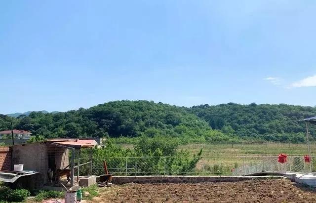 鞍山适合冬天聚餐的农家院,鞍山特点农家院推荐