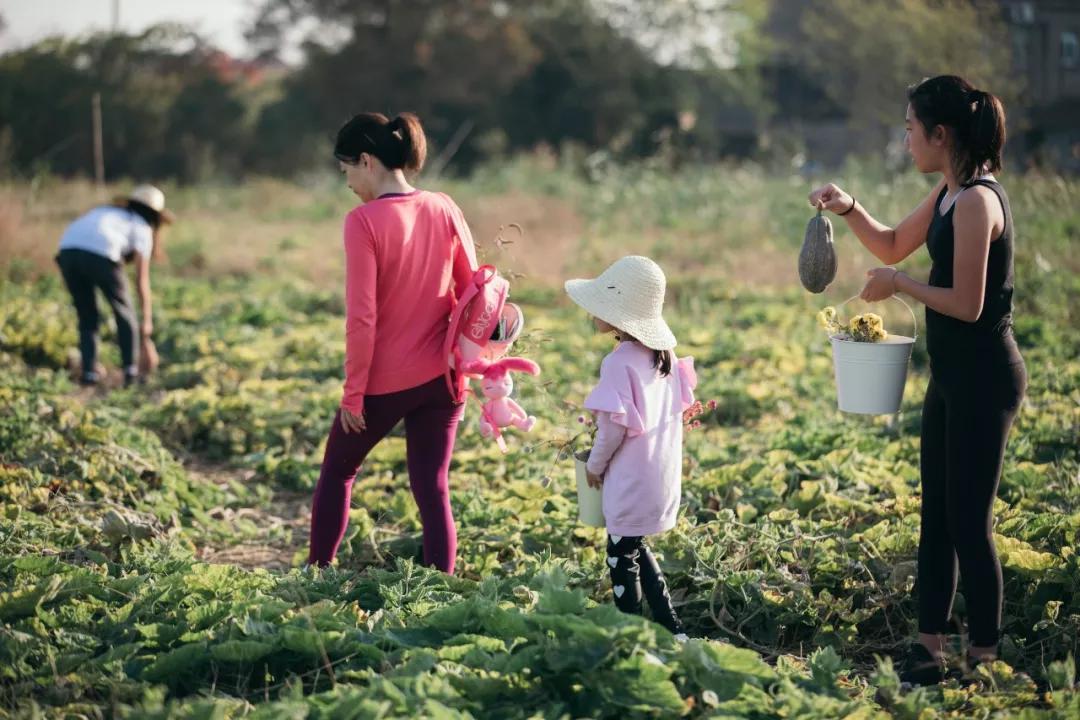 美到犯规！这个500亩的有机庄园，成三产融合教科书