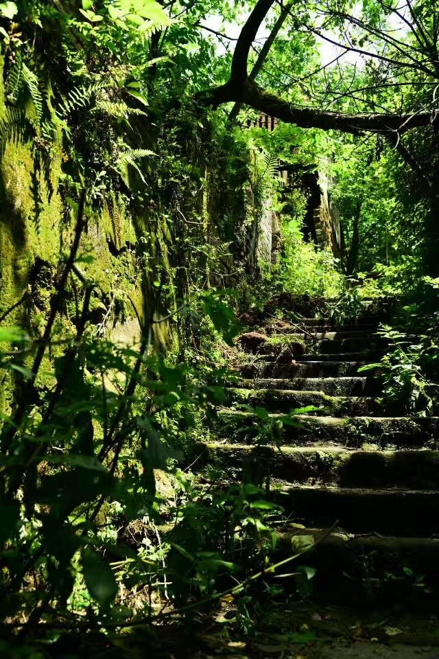 重庆值得一去的5个古镇,重庆最值得去的十大古镇