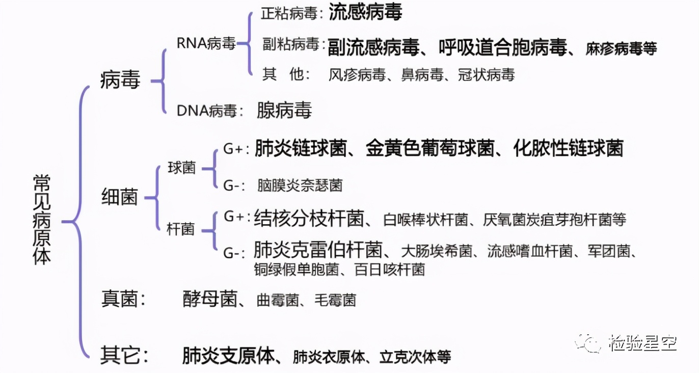 呼吸道病原体九联检结果怎么看,呼吸道九联检是用啥管子