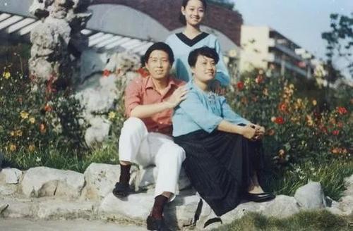 马伊琍和董璇谁更出名,董璇为什么回应离婚