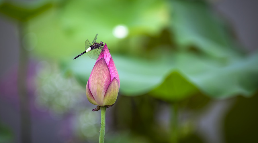 易经教你离成功越来越近,循序渐进易经