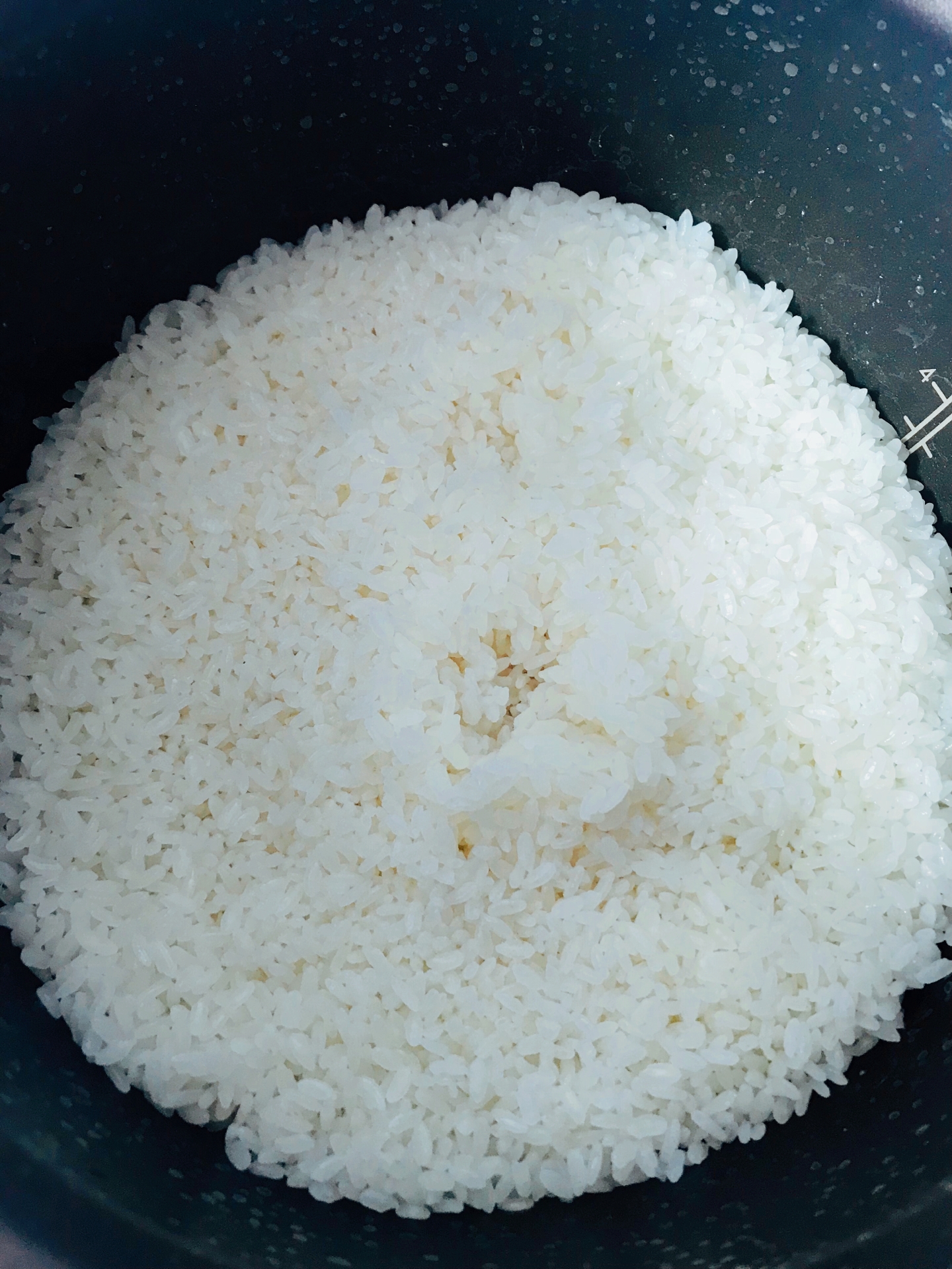 用普通的高压锅煮饭不糊,用电压力锅蒸米饭为什么米饭很黏