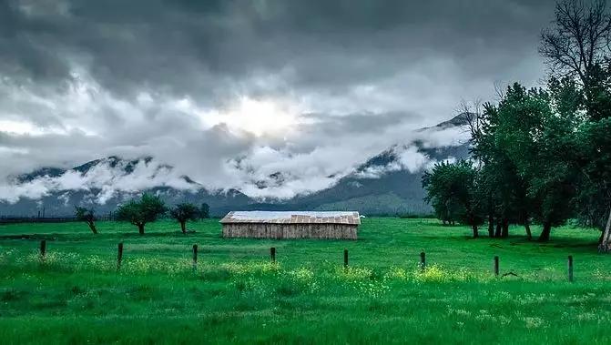 二月初二龙抬头命运,农历二月初二祥龙抬头鸿运当头