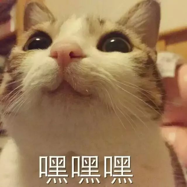 ppt演示高级操作教学,ppt教程基本操作课件