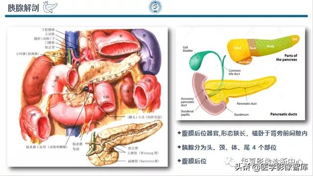 核磁ct都显示急性胰腺炎,急性坏死性胰腺炎的ct表现