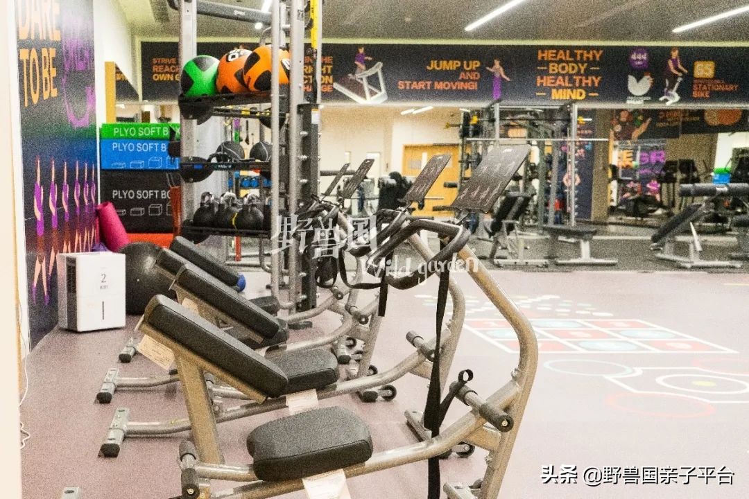 清澜山学校什么档次,入读清澜山学校需要什么条件