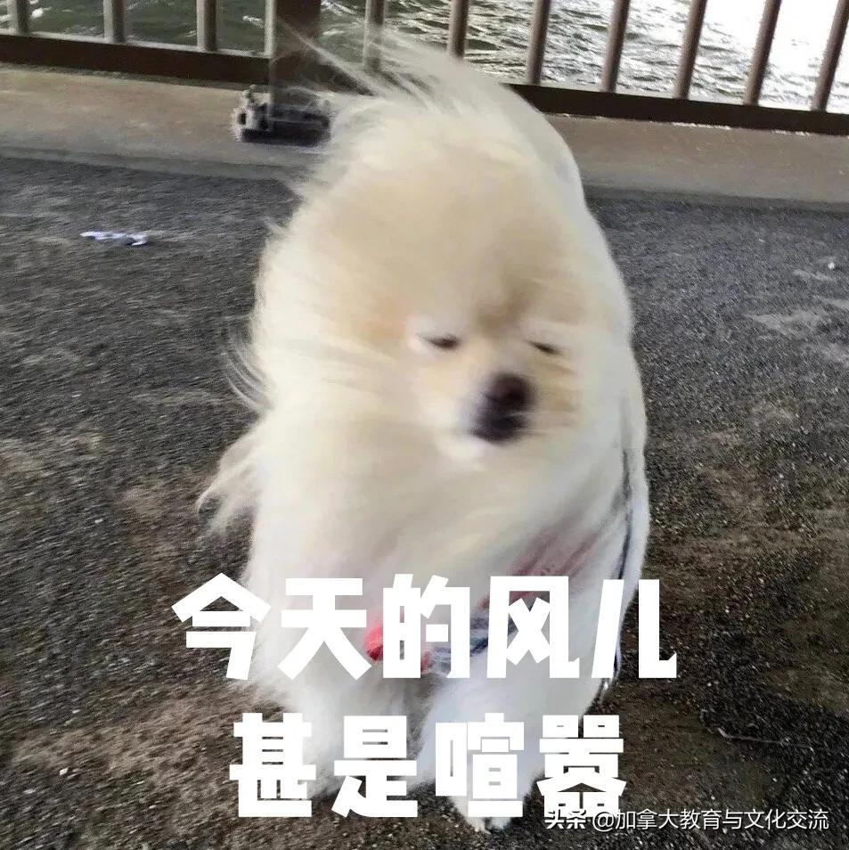 托福gre复考时间,托福gre最新消息