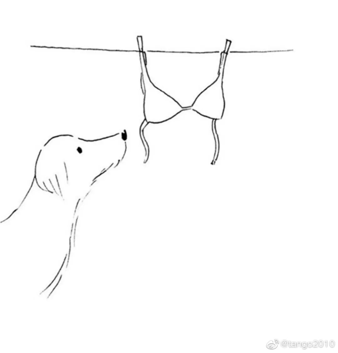 60张脑洞大开的沙雕漫画，张张有笑点，看完忍不住笑出猪叫