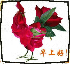 早安问候语正能量的短句和祝福语,吸引人的早安朋友圈早安文案带图