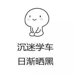 2019拿到驾驶证,2019拿到了驾照