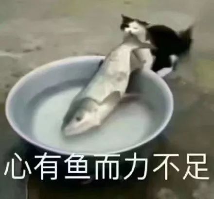 那些学生们搞出来的奇葩编程,编程的一些牛逼代码