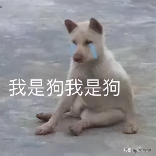 打码师怎么样了,打码师照片