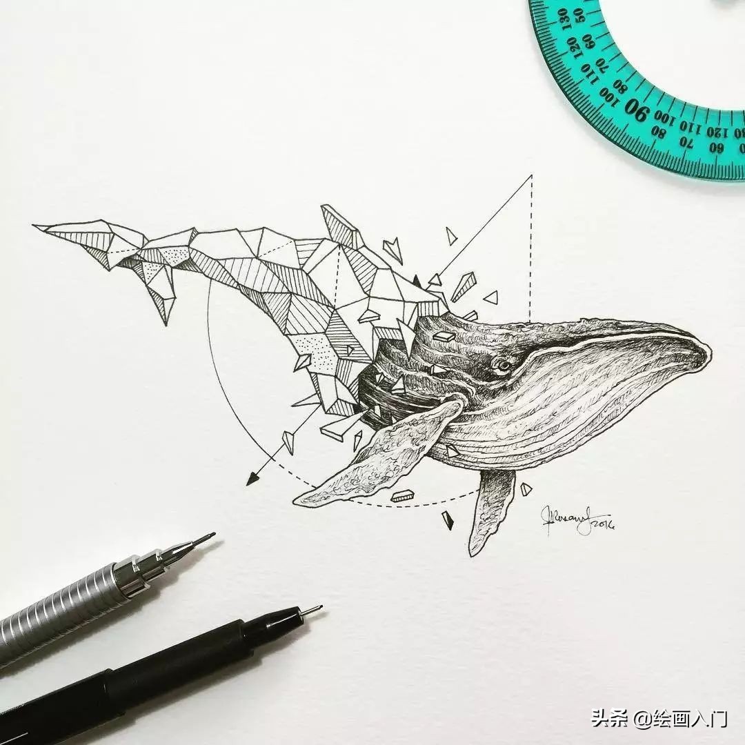 插画铅笔手绘小动物,针管笔手绘黑白画设计