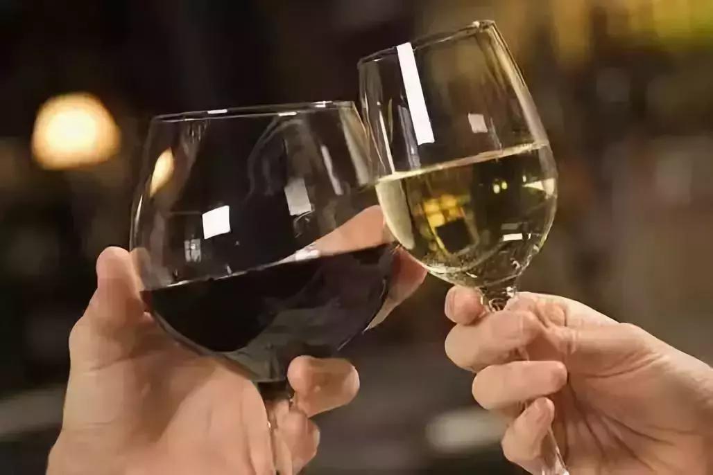 启智说说|“人人都该知道的葡萄酒基础知识”分享