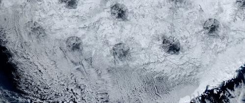 鍜屾湇鏅哄瓙,鍜屾湇鏅哄瓙鐨勭數瑙嗗墽