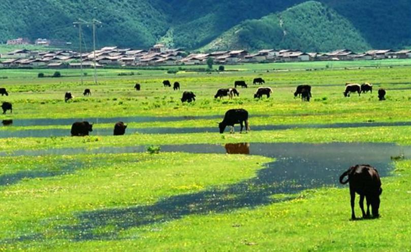 香格里拉最惊艳的地方,香格里拉令人向往的地方