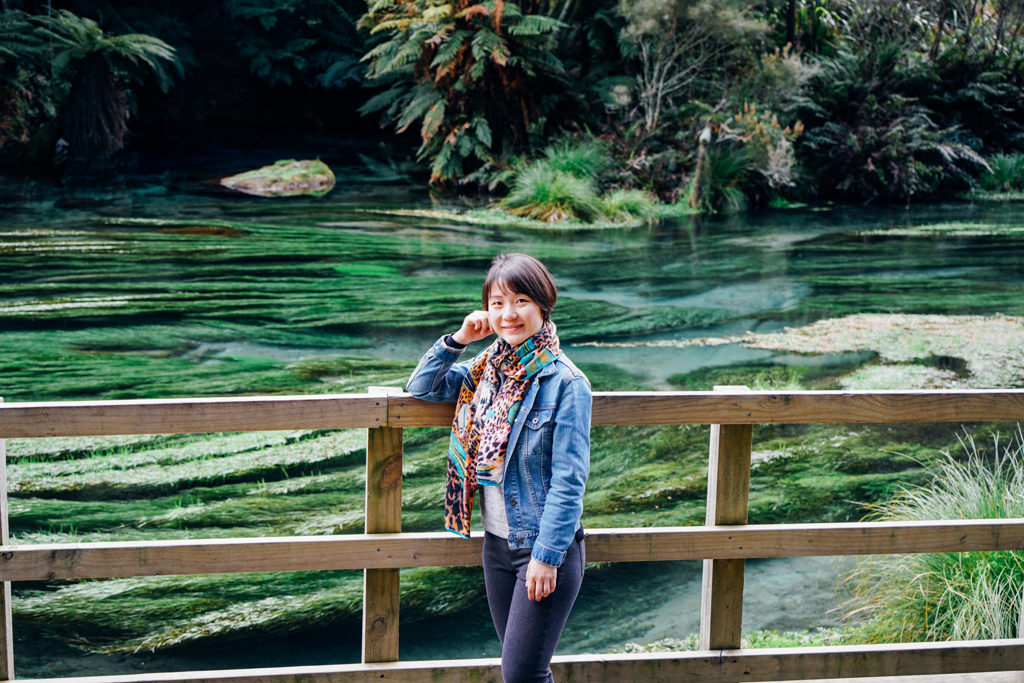 新西兰北岛值得去的地方,新西兰北岛哪里值得去