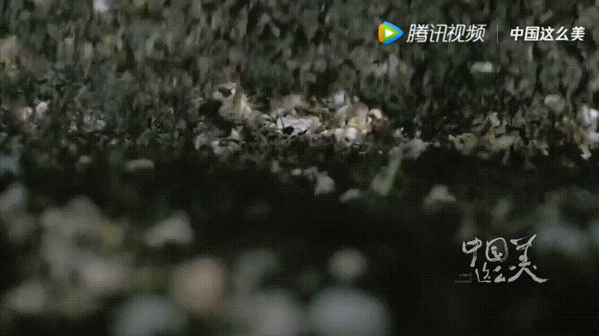 一定要好好生活句子,一定要好好的生活