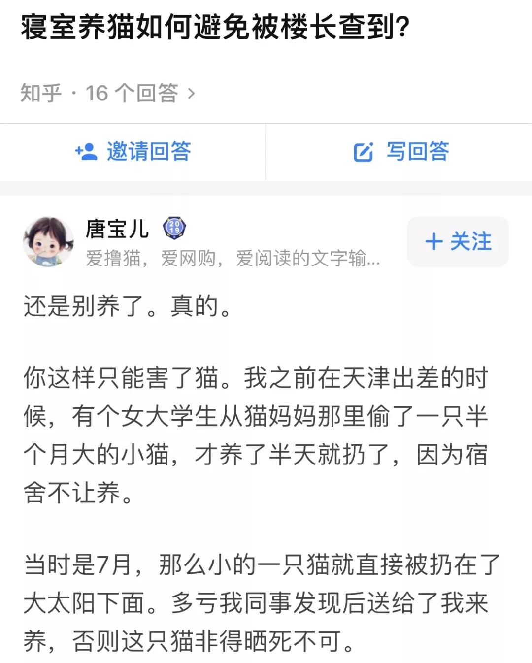 在宿舍养猫很后悔,为什么不能在宿舍养猫