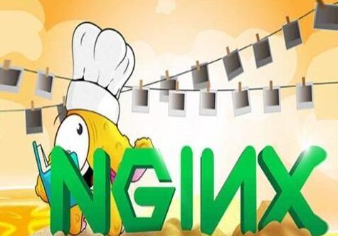 不懂英文说明书？没关系，美团T6都推荐的Nginx配置中文说明来了