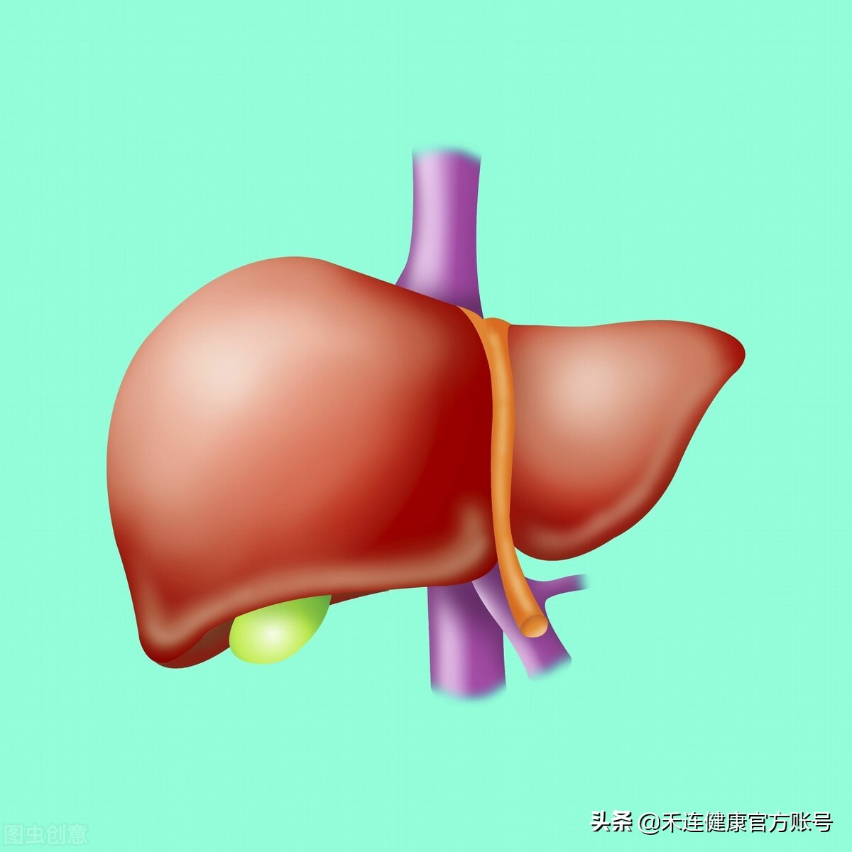 身上出现小红点是肝出现问题了吗,身上有小红点跟肝有关系吗