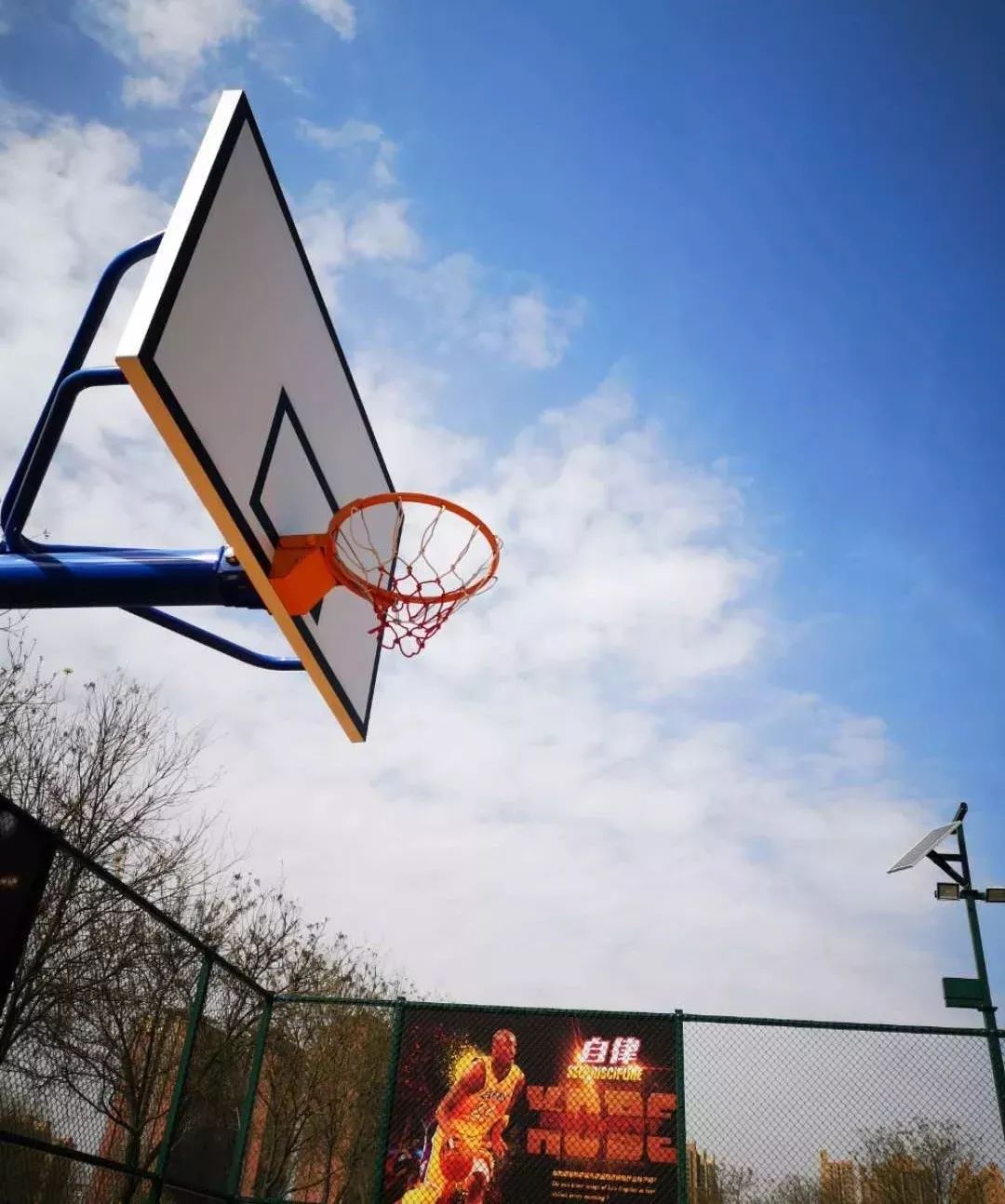 西安大明宫主题运动公园,大明宫主题运动公园预约