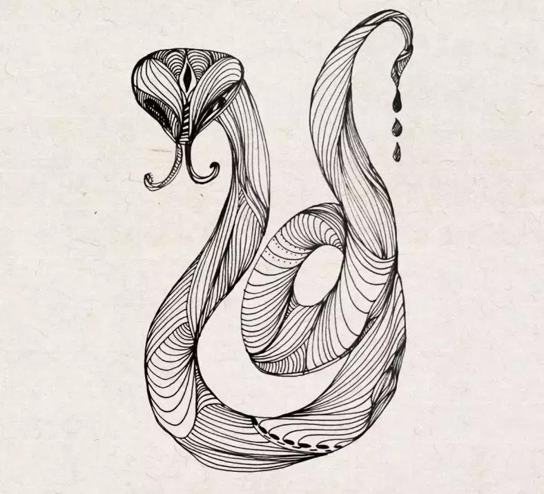 属相准还是星座准确,相由心生看人很准