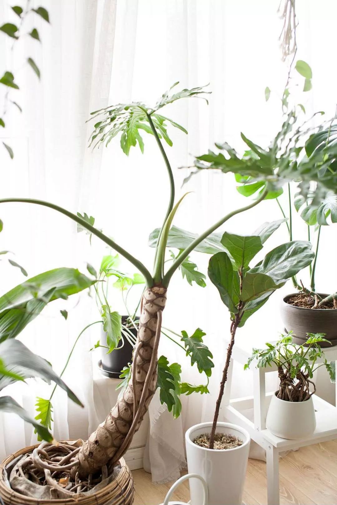 小夫妻98㎡家意外走红！登北京地铁广告，这个家才是都市里的奢侈