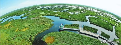 周末不用去的地方,龙江周末一日游