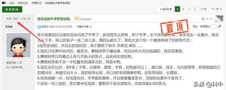 天涯社区如何靠发帖子引流,实用的平台发帖引流技巧