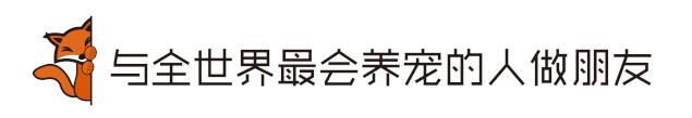 十大良心进口猫粮排名测评,进口天然猫粮