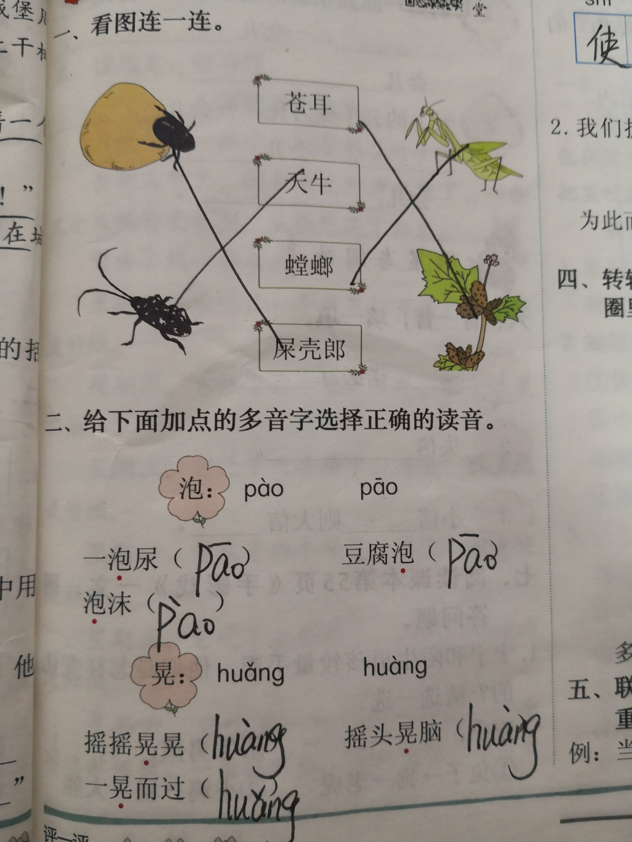 二年级11课我是一只小虫子讲解,二年级下册我是一只小虫子指什么