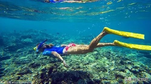 蜜月潜水看海推荐,全球最适合蜜月旅游的海岛