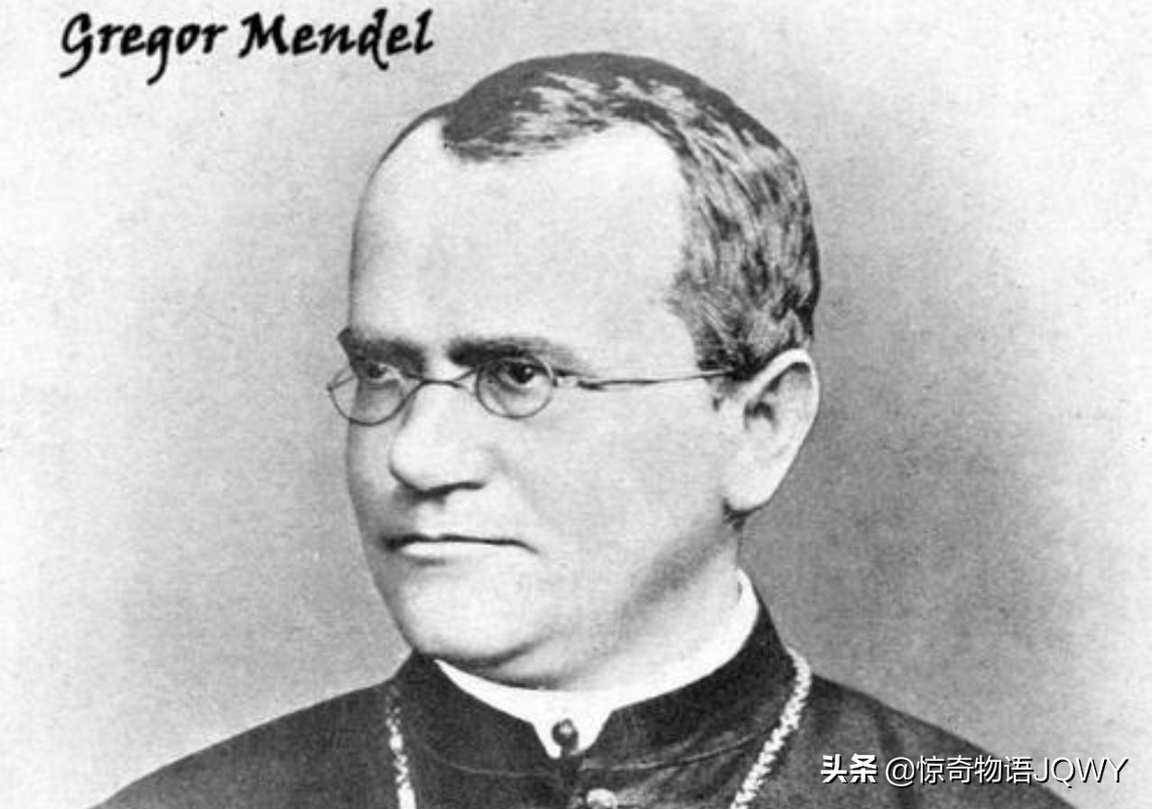 这个身体的特异功能，你会吗？