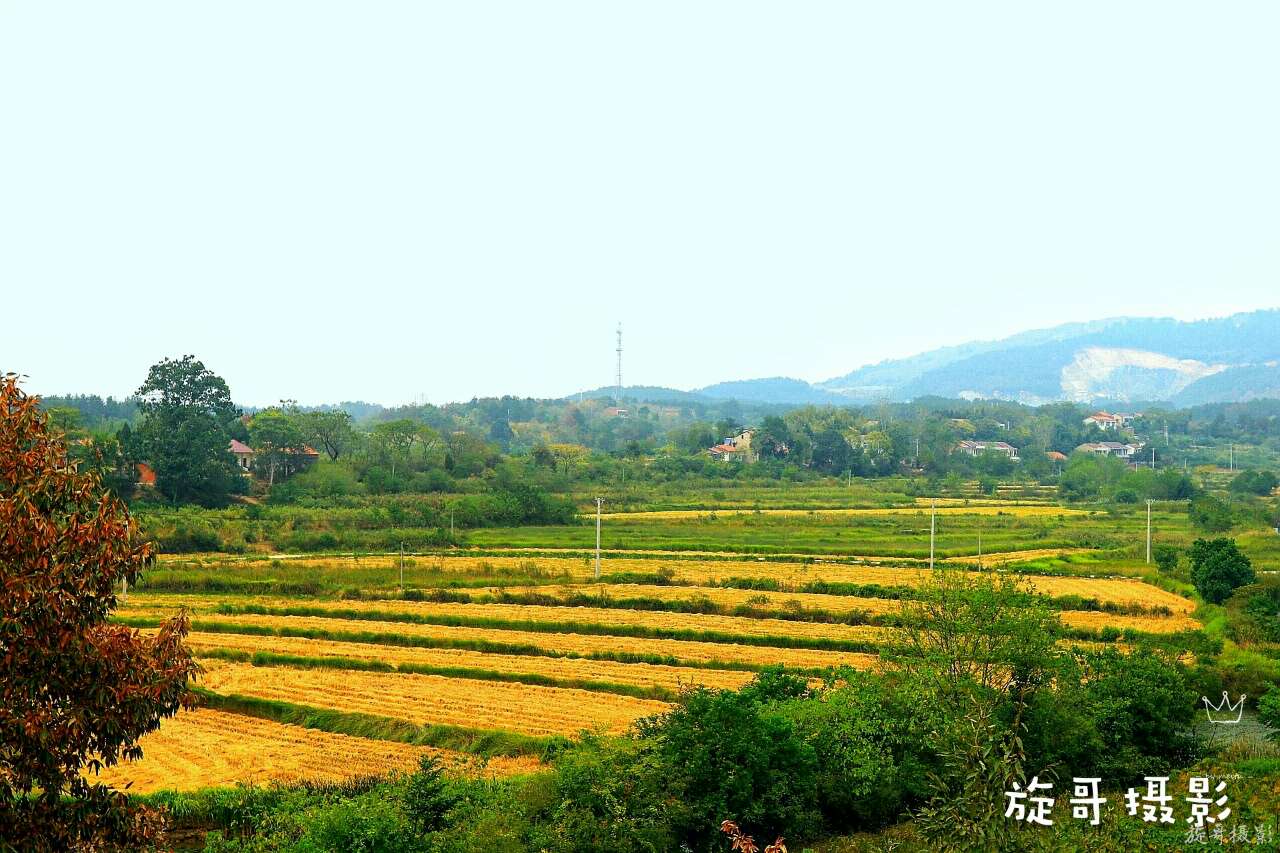 李白静夜思在哪个地方作诗,李白的梦游天姥吟留别的时代背景