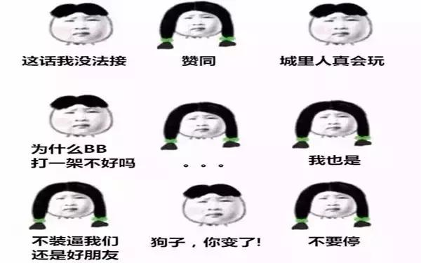 谢飞机随身携带的小绿包,谢飞机表情包视频