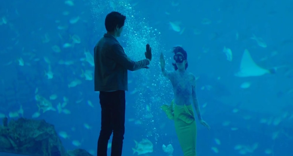 三十而已大结局顾佳最后说什么了,三十而已顾佳和许幻山离婚大结局