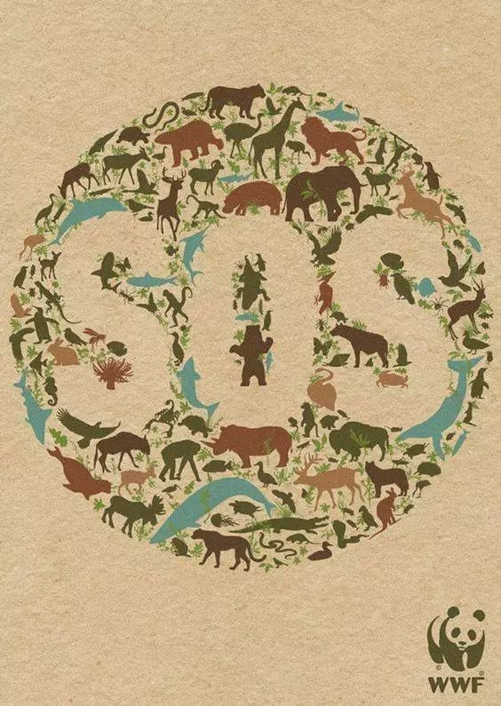 流水的英语怎么说,关于环保主题的题目英语