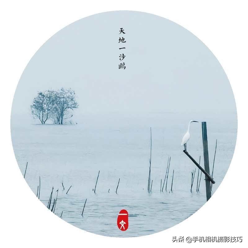 会摄影很酷,会摄影的人真的很酷