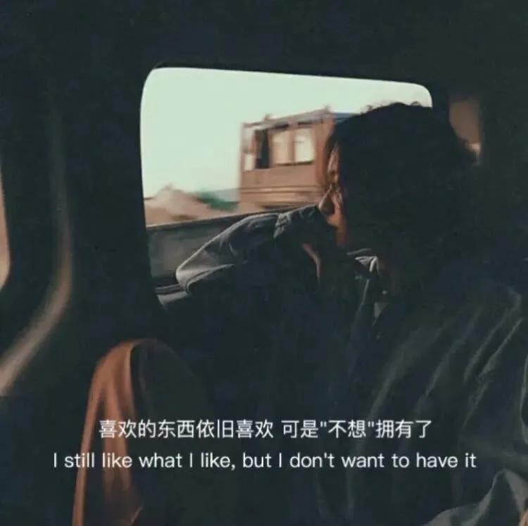 大自然治愈清新的背景图,文艺清新淡雅鲜花背景图