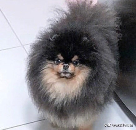 拍照技巧与角度的免费app,最近朋友圈最火的拍照软件