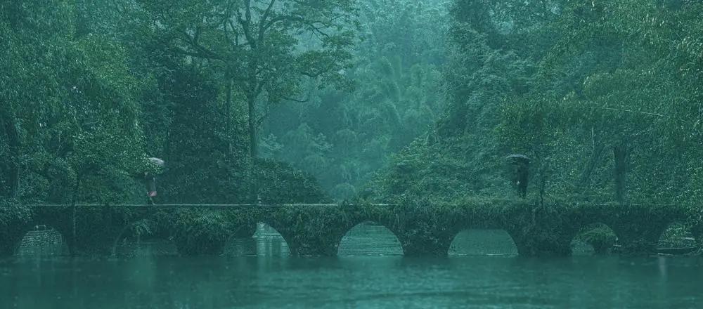 2020年摄影点评部分低分照片合集（下）（前方大量熊猫出没）